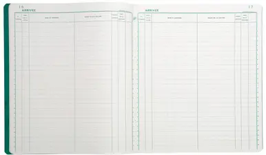 EXACOMPTA Piqûre "Enregistrement du courrier", 80 pages
