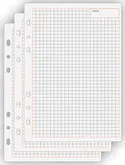bind Fiche de rechange pour notes Manager, A5, quadrillÃ©