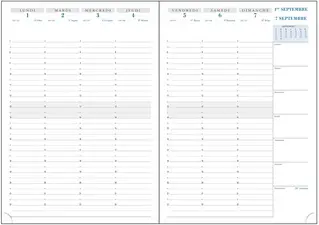 EXACOMPTA Agenda SAD 29 VERONE, 2026/2027, 16 mois, assorti