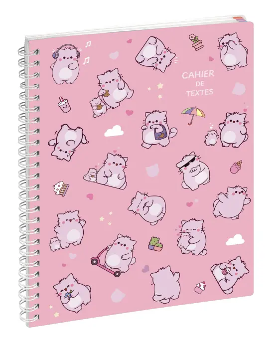 Cahier de textes Pembe 17 x 22 cm - Visuel - New
