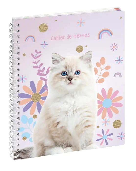 Cahier de textes Lovely 17 x 22 cm - Visuels assortis