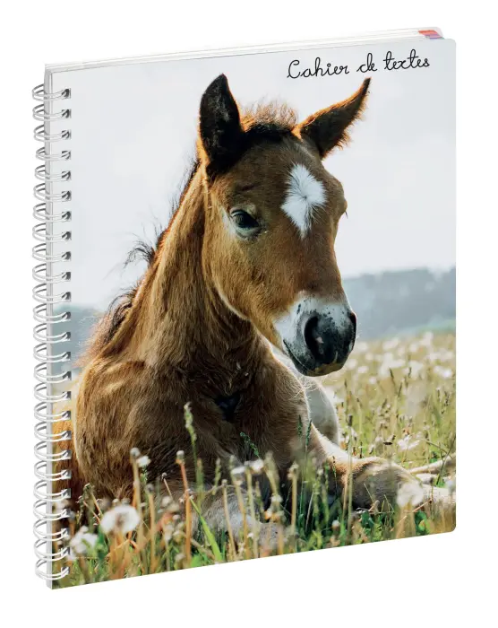 Cahier de textes Animaux Cheval 17 x 22 cm - Visuels assortis