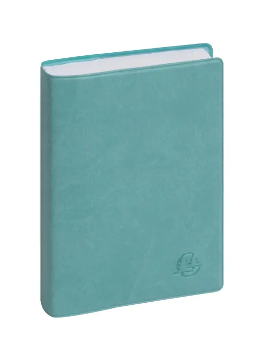 Agenda de poche Journal 13 Horaires Ondine 8,5 x 13 cm Journalier Janvier à Décembre 2027 - Couleurs assorties - New