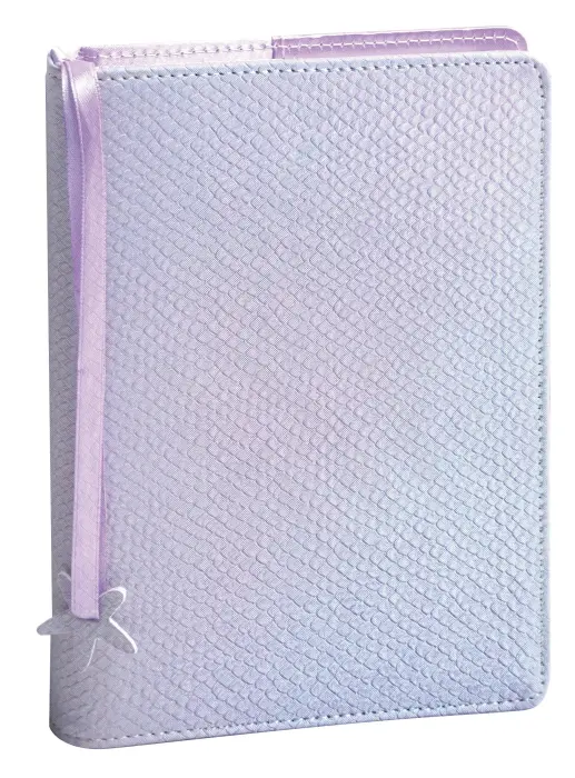 Agenda Forum Color Ariel 12 x 17 cm Journalier Août 2026 à Juillet 2027 - Lilas