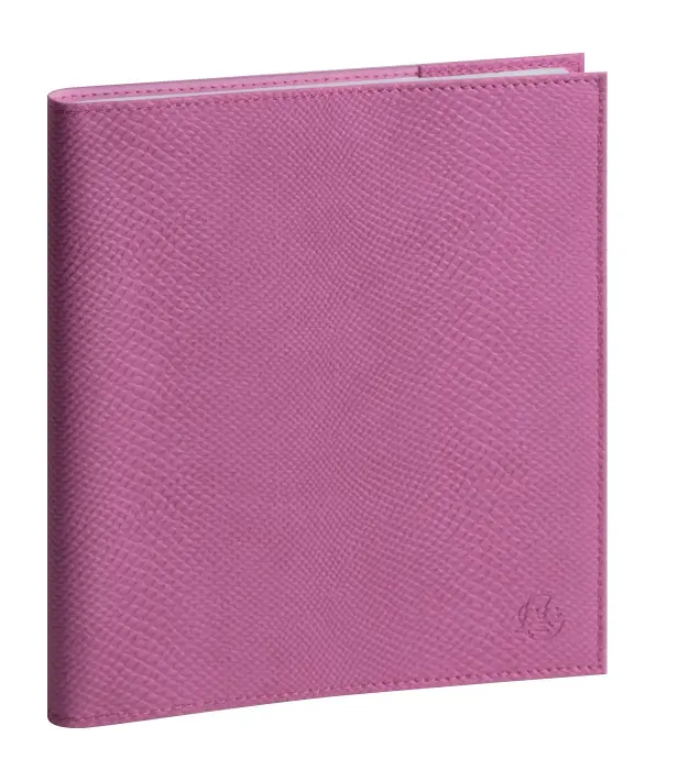 Agenda de bureau Lady 18 Alysse 15 x 17 cm Semainier Janvier à Décembre 2027 - Couleurs assorties - New