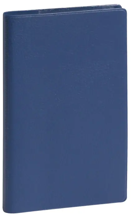 Agenda de poche SL 17 Cassandra 9 x 17,5 cm Quinzainier Janvier 2027 à Décembre 2027 - Coloris aléatoire