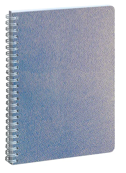 Semainier Lady 20S spiralé Ariel 15 x 21 cm 12 mois de janvier à décembre 2027 - Argent - New