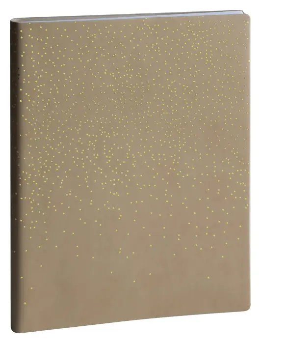 Agenda de bureau EasyTime 27S spiralé Amélie 21 x 27 cm Semainier Janvier à Décembre 2027 - Couleurs assorties