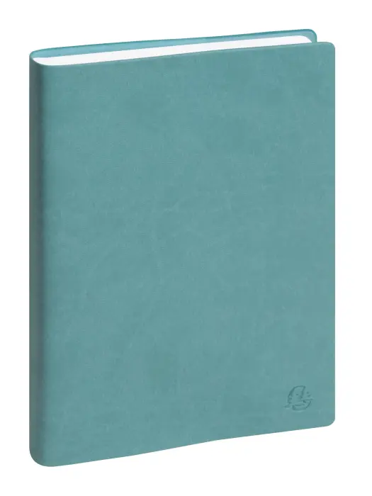 Agenda de bureau EasyDay Journal 21 Ondine 15 x 21 cm Journalier Janvier à Décembre 2027 - Couleurs assorties - New