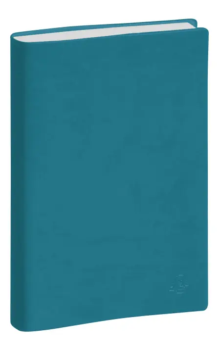 Agenda de bureau Journée planifiée 21 Winner 13,5 x 21 cm Semainier Janvier à Décembre 2027 - Couleurs assorties