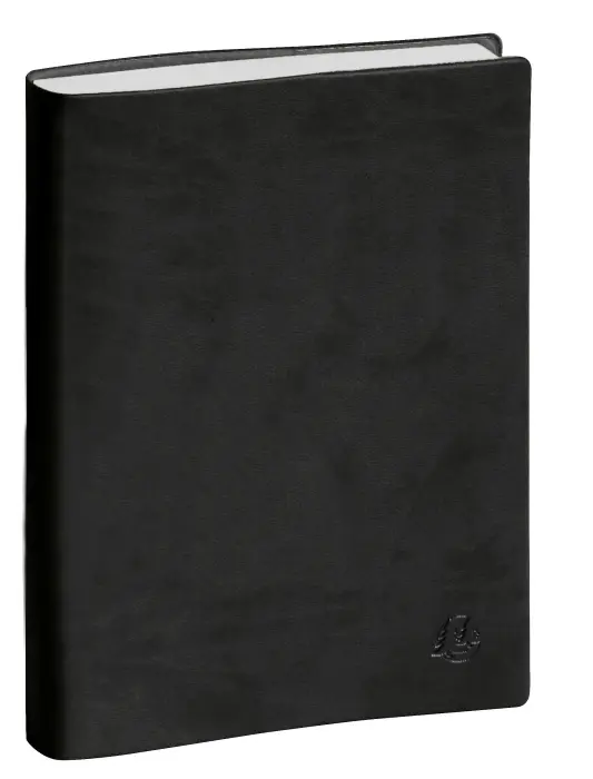 Agenda de bureau EasyDay 21 Winner noir 15 x 21 cm Journalier Janvier à Décembre 2027 - Noir