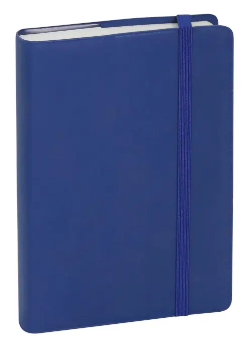 Agenda de poche Journal 15 Quadrillé Plastique 9 x 14,6 cm Janvier à Décembre 2027 - Coloris aléatoire