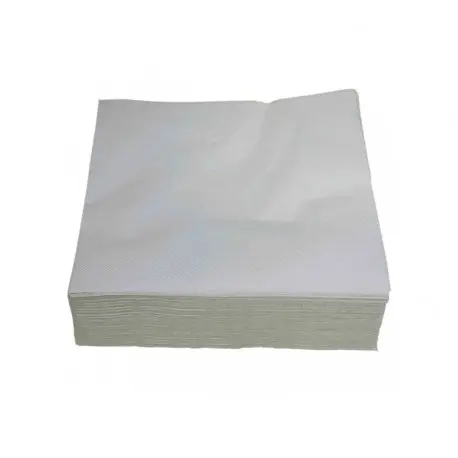 Serviette 30x30cm blanche 2 plis ouate Ecolabel- Ct de 3200