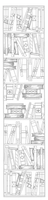 Echarpe 100% soie - 180x43cm Biblio - Blanc