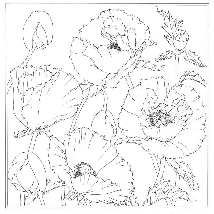 Carré 100% soie - 90x90cm Pavot - Blanc