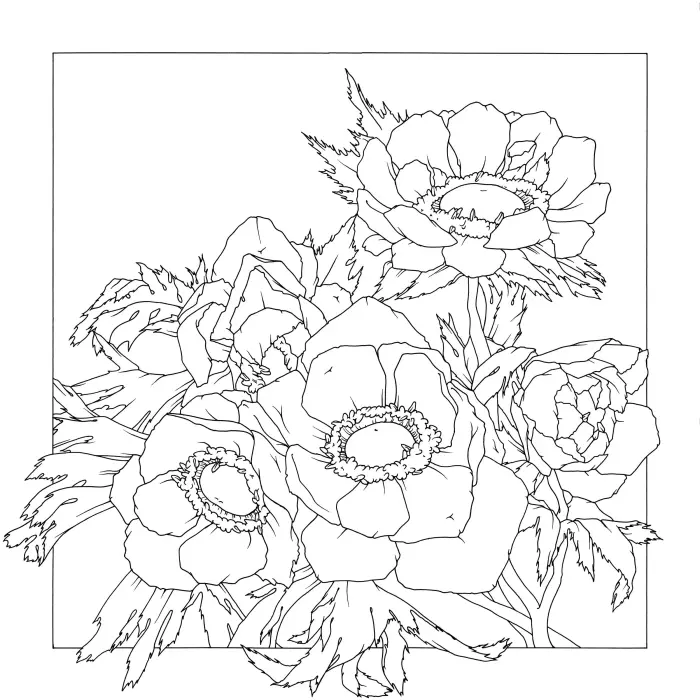 Carré 100% soie - 90x90cm Anemones - Blanc