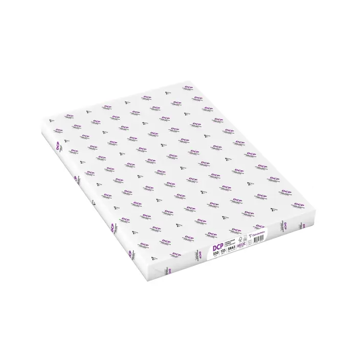 DCP 320X450 250G RAM 125F ENRAME - ANCIEN DCP