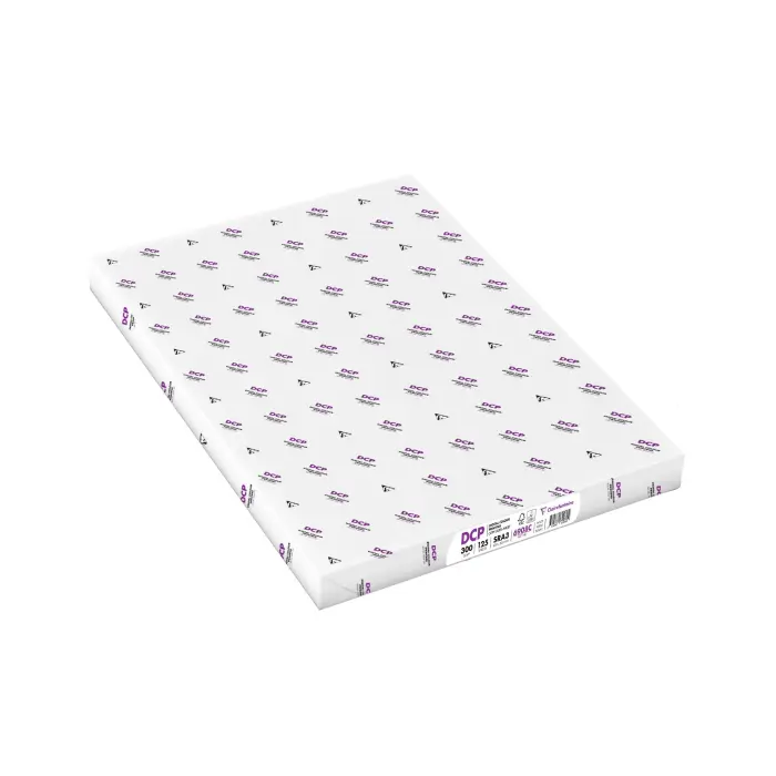 DCP 450X320 300G RAM 125F ENRAME - ANCIEN DCP