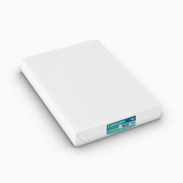 EVERCOPY PREMIUM A3 100G 500F C.4 - 100ISO/135CIE