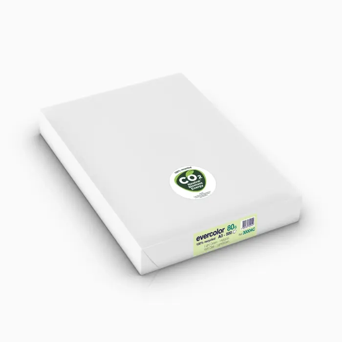 EV.COLOR A3 80G RAM 500F C.5 - Vert clair R