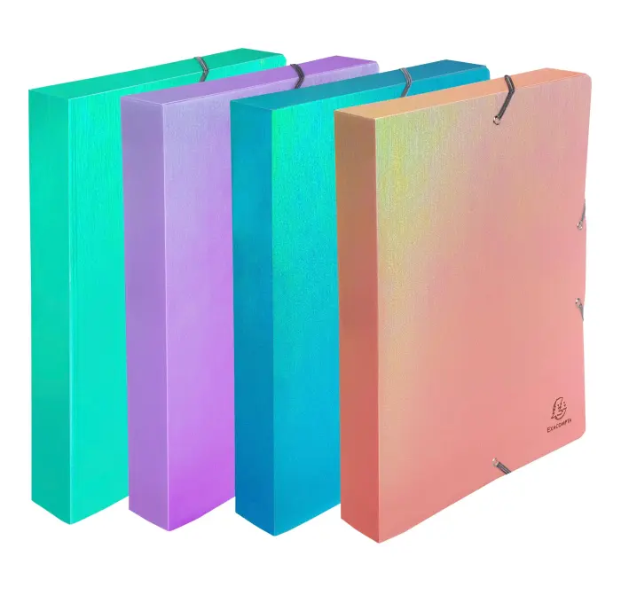 Boite de classement à élastiques dos 40mm PP Candy Tidy - Couleurs assorties - New
