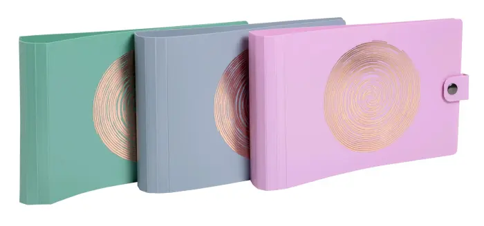 Classeur pour fiches bristol 2 anneaux 30mm PP recyclé Ellipse - Couleurs assorties