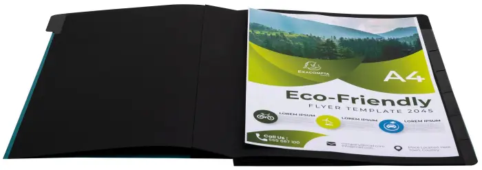 Miniature 4