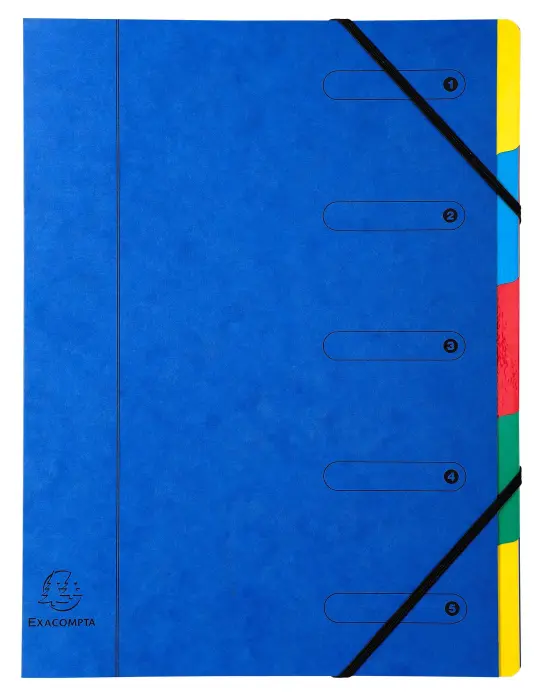 Trieur Harmonika fenêtres imprimées Véritable carte lustrée 5 compartiments - Couleurs assorties