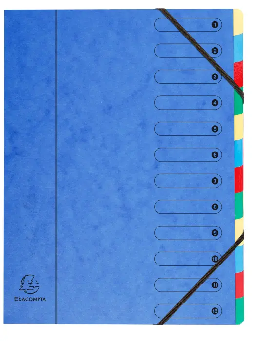 Trieur Harmonika fenêtres imprimées Véritable carte lustrée 12 compartiments - Couleurs assorties