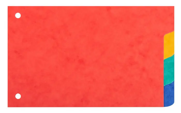 Intercalaires pour fiches bristol carte lustrée 225g/m2 4 positions - 100x150mm - Couleurs assorties