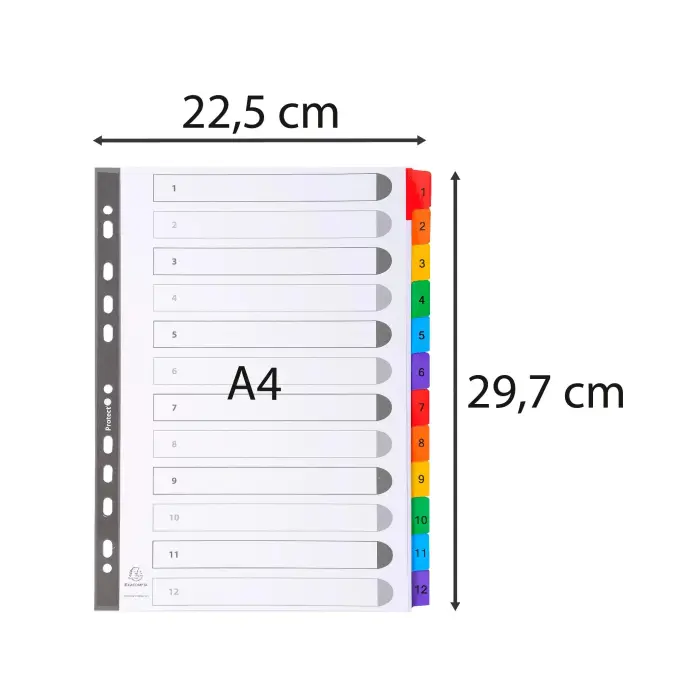 Miniature 5