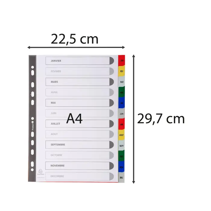 Miniature 5