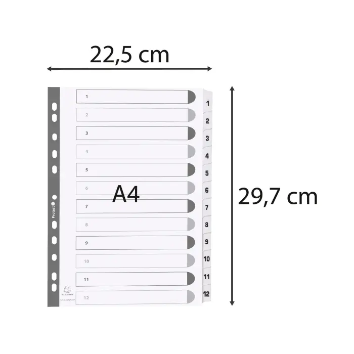 Miniature 2