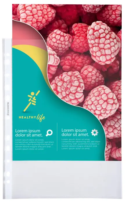 Sachet de 100 pochettes perforées polypropylène grainé Qualité + - A4 - Cristal