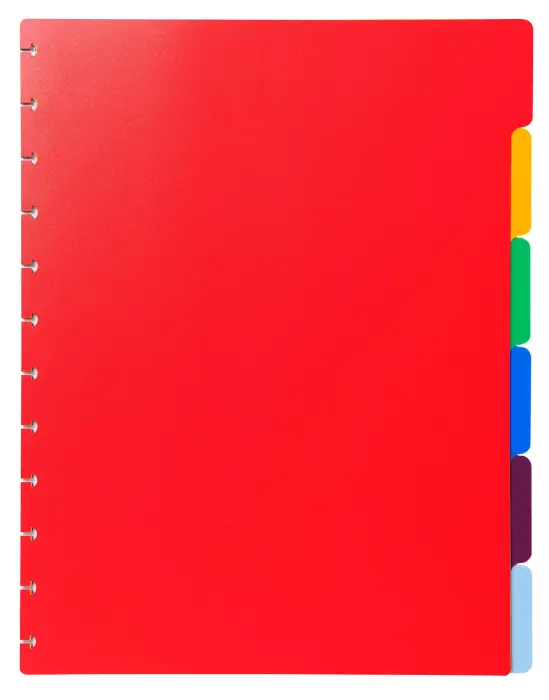 Intercalaires polypropylènes couleurs 6 positions pour porte-vues à anneaux - Couleurs assorties