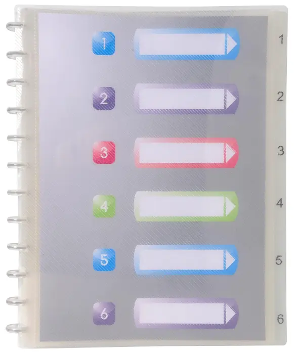 Protège-documents amovibles à anneaux polypropylène Crystal 60 vues - A4 - Cristal
