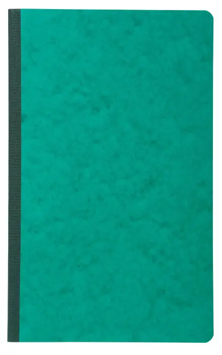 Piqûre 32x19,5cm recettes-dépenses 80 pages - Couleurs assorties