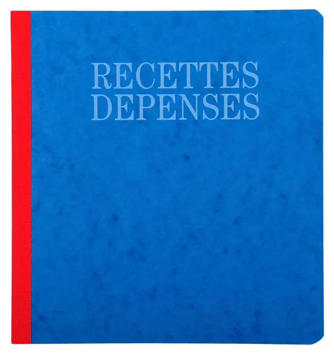 Piqûre 21x19cm recettes-dépenses 80 pages - Couleurs assorties