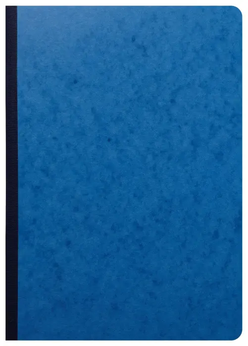 Piqûre 29,7x21cm à tête paresseuse 10 colonnes sur 2 pages - 34 lignes - 80 pages - Couleurs assorties