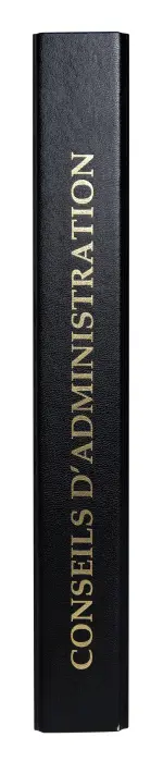 Miniature 4
