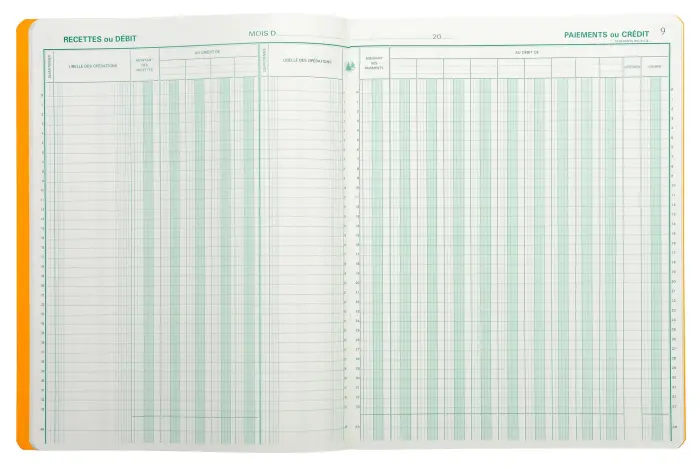 Piqûre 32x25 Journal de caisse ou banque 9 débit - 4 crédit 33 lignes 80 pages - Couleurs assorties