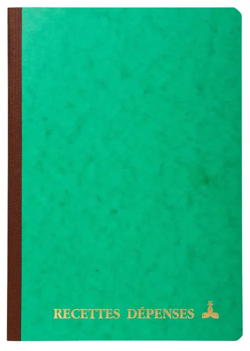 Piqûre 297X210 Recettes-dépenses 80 pages - Couleurs assorties