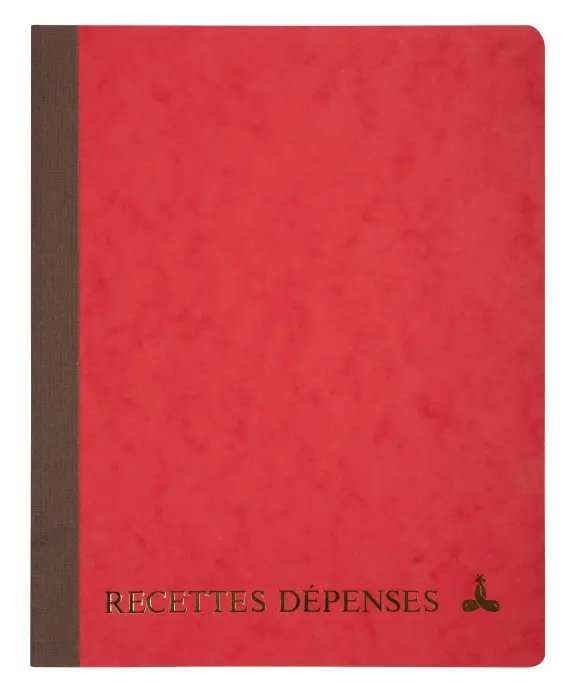 Piqûre 220X170 Recettes-dépenses 80 pages - Couleurs assorties