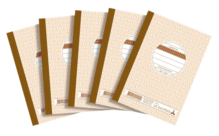 Lot de 5 manifolds - papier autocopiant - quadrillés 5x5 - petits carreaux - duplicata - 50 feuilles - format 14,8 x 10,5 cm - couverture vernie - Avoine