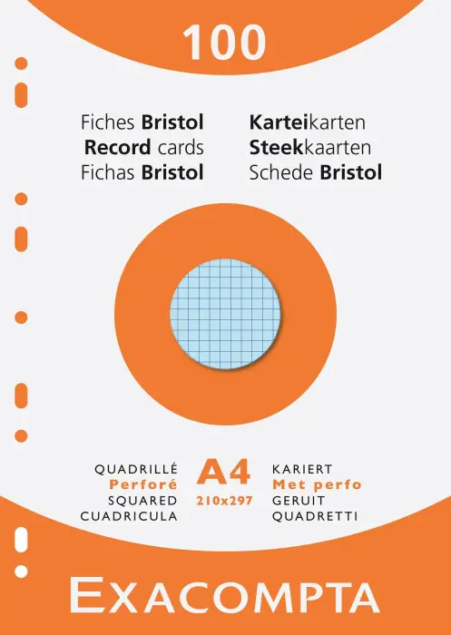 Étui de 100 fiches - bristol quadrillé 5x5 perforé 210x297mm - Couleurs assorties