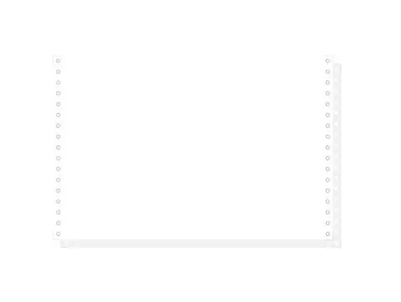 "1000 feuilles de listing autocopiantes blanc 330x8 1/2"" 2plis Bandes Caroll Détachables" - Blanc