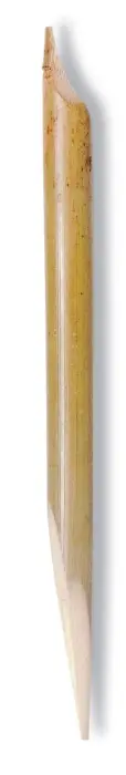 Calame grand modèle