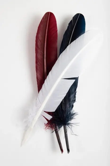 Plumes d'oie taillées 28cm - Assortiment