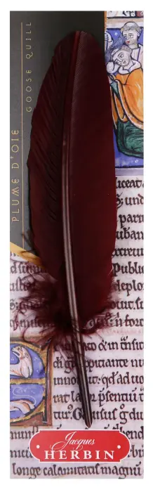 Plume d'oie taillée sur broche - Bordeaux