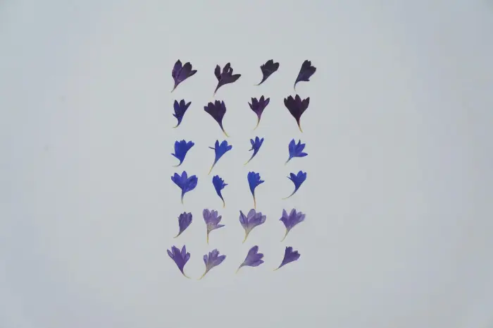Miniature 2